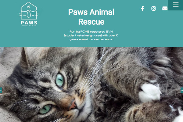 Paws Animal Rescue